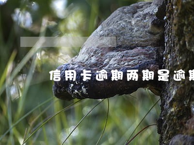 信用卡逾期两期是逾期几个月