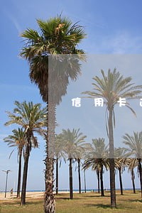 信用卡逾期两期还能用吗 信用卡逾期两期还能用吗