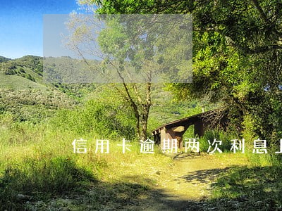 信用卡逾期两次利息上调吗 信用卡逾期两次利息上调吗