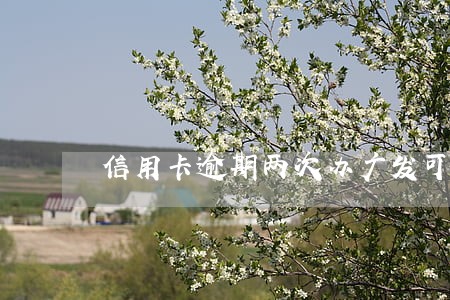 信用卡逾期两次办广发可以吗