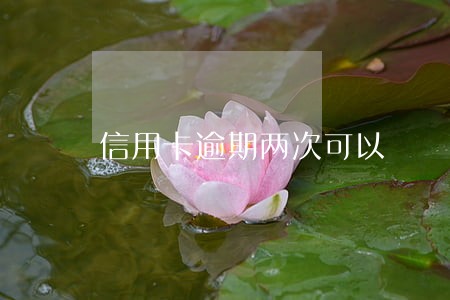 信用卡逾期两次可以