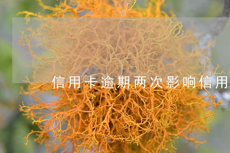 信用卡逾期两次影响信用贷吗