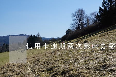 信用卡逾期两次影响办签证吗 信用卡逾期两次影响办签证吗