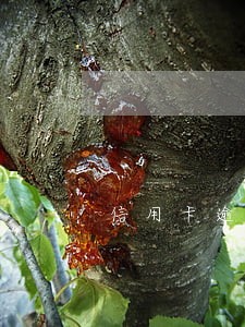 信用卡逾期两次影响征信么 信用卡逾期两次影响征信么