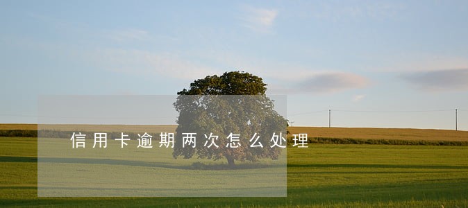 信用卡逾期两次怎么处理 信用卡逾期两次怎么处理
