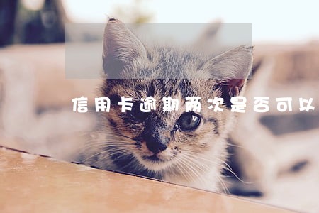 信用卡逾期两次是否可以贷款