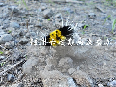 信用卡逾期两次有办法洗白 信用卡逾期两次有办法洗白