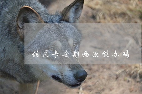 信用卡逾期两次能办吗