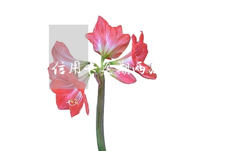 信用卡逾期两次被停用 信用卡逾期两次被停用
