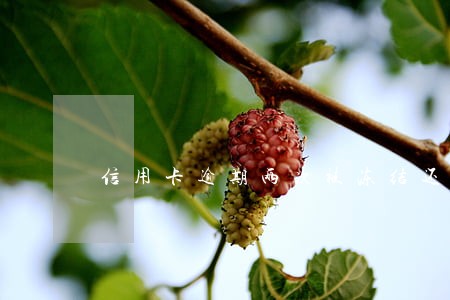 信用卡逾期两次被冻结还能用吗 信用卡逾期两次被冻结还能用吗