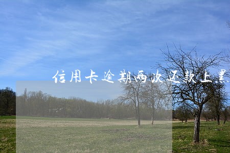 信用卡逾期两次还款上黑名单没 信用卡逾期两次还款上黑名单没