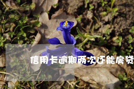 信用卡逾期两次还能房贷吗 信用卡逾期两次还能房贷吗