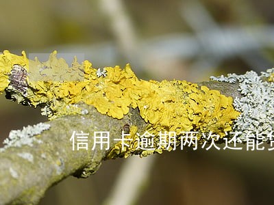 信用卡逾期两次还能贷公积金吗 信用卡逾期两次还能贷公积金吗
