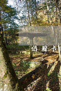 信用卡逾期两百块 信用卡逾期两百块