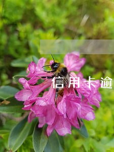 信用卡逾期两百块半年利息