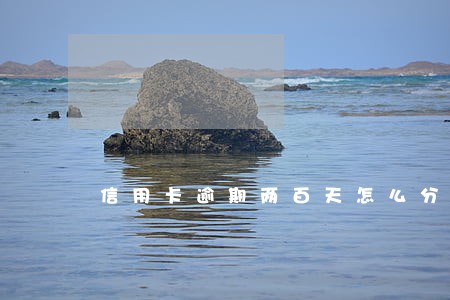 信用卡逾期两百天怎么分期 信用卡逾期两百天怎么分期