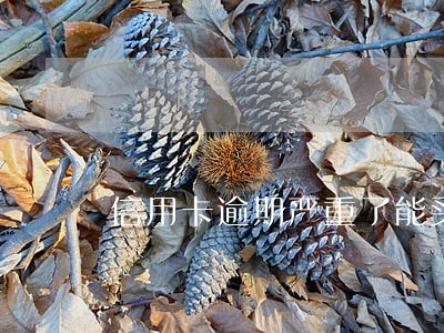 信用卡逾期严重了能买飞机票吗 信用卡逾期严重了能买飞机票吗