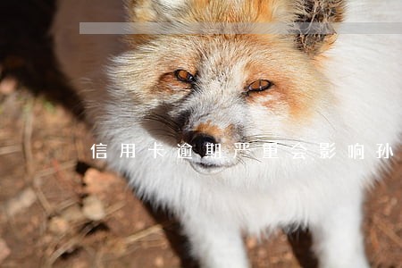 信用卡逾期严重会影响孙子么 信用卡逾期严重会影响孙子么