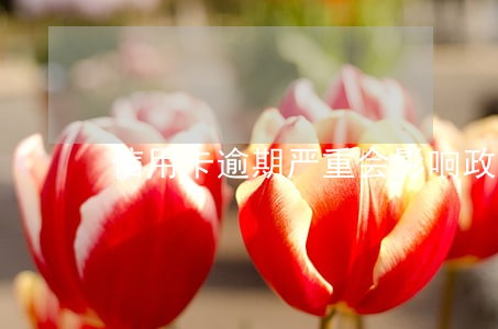 信用卡逾期严重会影响政审吗 信用卡逾期严重会影响政审吗