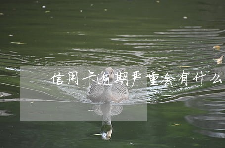 信用卡逾期严重会有什么后果 信用卡逾期严重会有什么后果