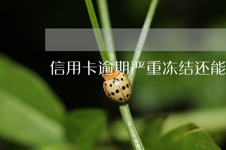 信用卡逾期严重冻结还能用吗 信用卡逾期严重冻结还能用吗