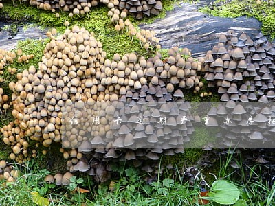 信用卡逾期严重办房按揭能过吗 信用卡逾期严重办房按揭能过吗