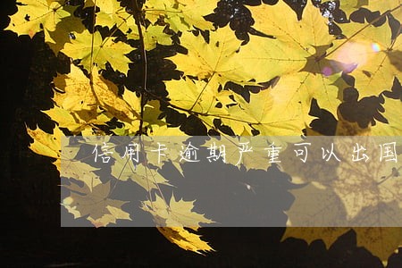 信用卡逾期严重可以出国吗 信用卡逾期严重可以出国吗