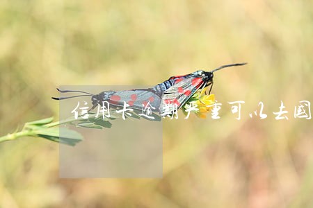 信用卡逾期严重可以去国外吗 信用卡逾期严重可以去国外吗