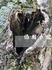 信用卡逾期严重可以考公务员吗