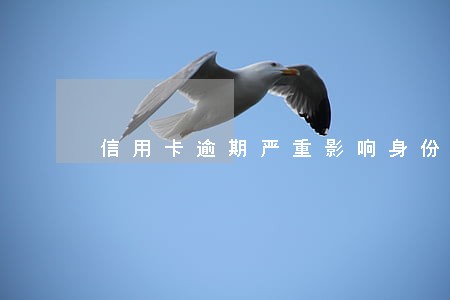 信用卡逾期严重影响身份证吗
