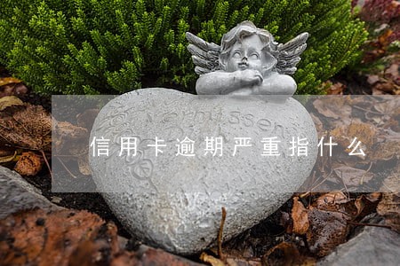 信用卡逾期严重指什么 信用卡逾期严重指什么