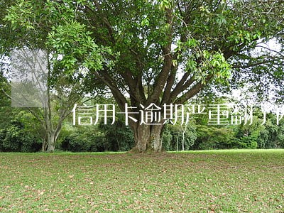 信用卡逾期严重翻了两倍 信用卡逾期严重翻了两倍