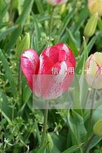 信用卡逾期严重能买房吗 信用卡逾期严重能买房吗