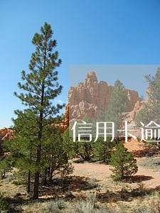 信用卡逾期严重被注销