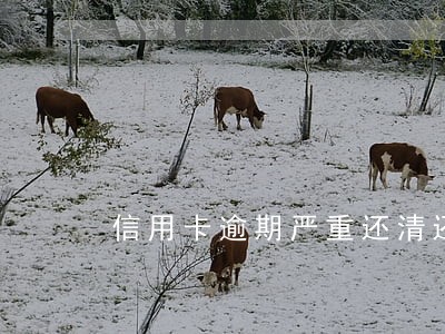 信用卡逾期严重还清还能用吗