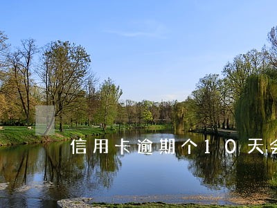 信用卡逾期个10天会怎么样