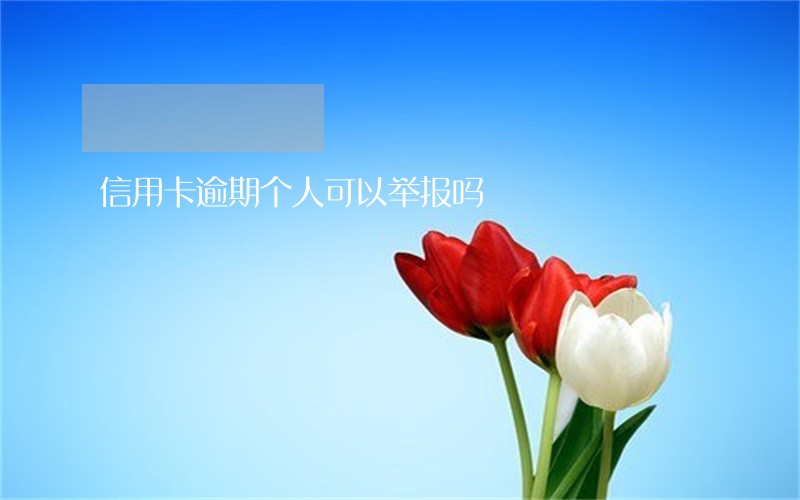 信用卡逾期个人可以举报吗 信用卡逾期个人可以举报吗