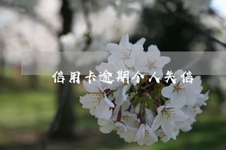信用卡逾期个人失信 信用卡逾期个人失信