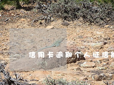 信用卡逾期个人征信能查到吗 信用卡逾期个人征信能查到吗