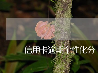 信用卡逾期个性化分