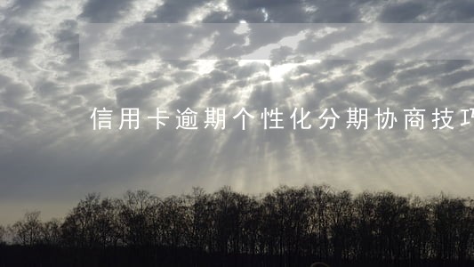 信用卡逾期个性化分期协商技巧 信用卡逾期个性化分期协商技巧