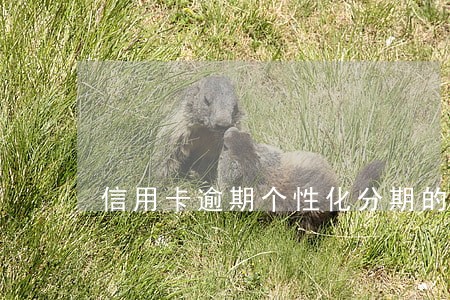 信用卡逾期个性化分期的条件 信用卡逾期个性化分期的条件