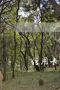 信用卡逾期个性化分期还款 信用卡逾期个性化分期还款