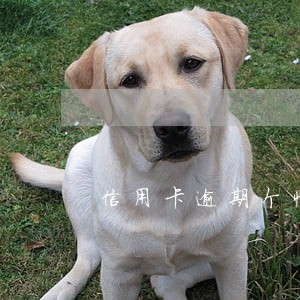 信用卡逾期个性化分期还款公司靠谱吗 信用卡逾期个性化分期还款公司靠谱吗