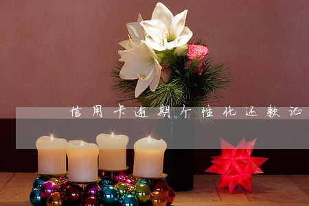 信用卡逾期个性化还款证明 信用卡逾期个性化还款证明