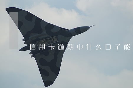 信用卡逾期中什么口子能下款 信用卡逾期中什么口子能下款