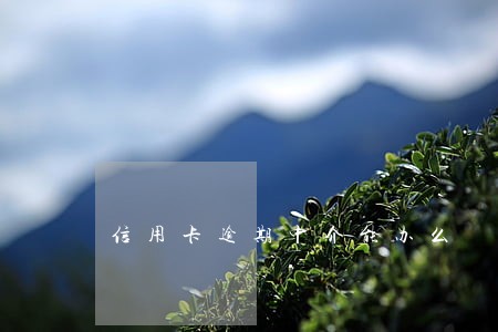 信用卡逾期中介能办么
