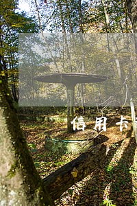 信用卡逾期中国银行会发来短信 信用卡逾期中国银行会发来短信