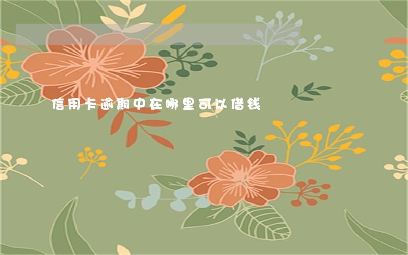 信用卡逾期中在哪里可以借钱 信用卡逾期中在哪里可以借钱