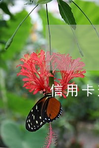 信用卡逾期中心来电话多次没接 信用卡逾期中心来电话多次没接